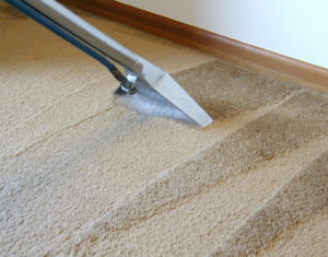 Carpet Steam Cleaners North shore