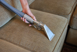 Upholstery cleaning North shore