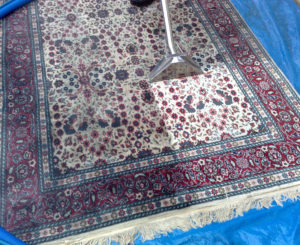 Rug Cleaning North Shore