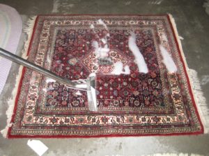 Rug Cleaners North Shore