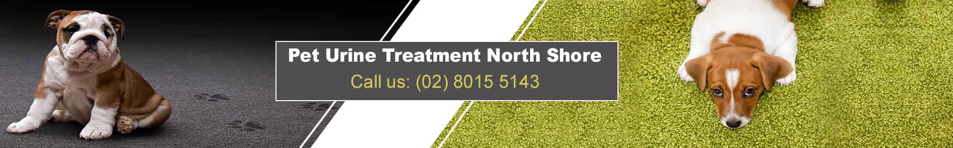 Pet Urine Treatment North Shore