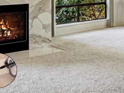 Carpet Cleaning North Shore